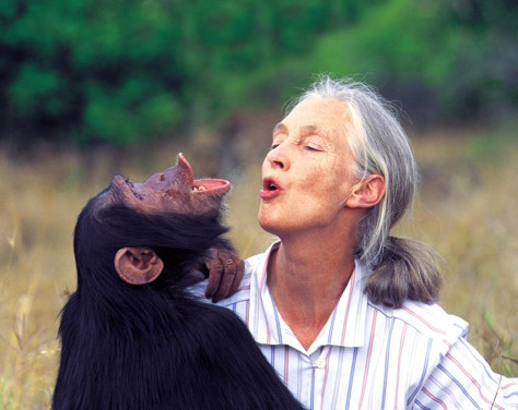 &quot;Jane Goodall Live&quot; Comes to a Theater Near You for One Night Only on September 27 - Midlife at ...