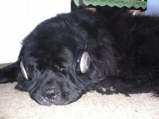Jessie with headphones