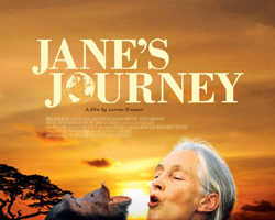 jane's journey