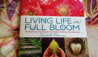 Living Life in Full Bloom