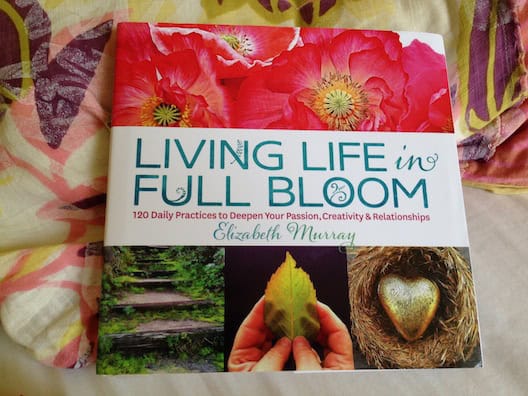 Living Life in Full Bloom: 120 Daily Practices to Deepen Your Passion,  Creativity & Relationships: Murray, Elizabeth: 9781623361204: :  Books