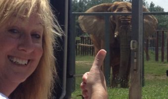 Lois at Elephant Sanctuary