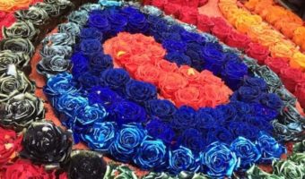 a ring of roses in different colors