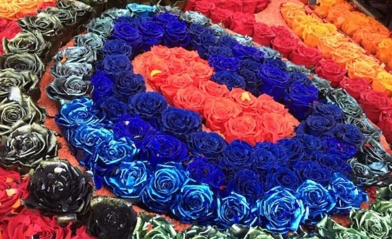 a ring of roses in different colors